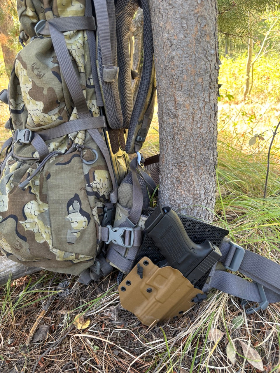 Hip Plate - Backpack Hip Holster